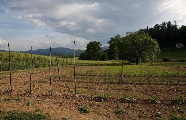 Agriturismo La Topaia - Foto 23