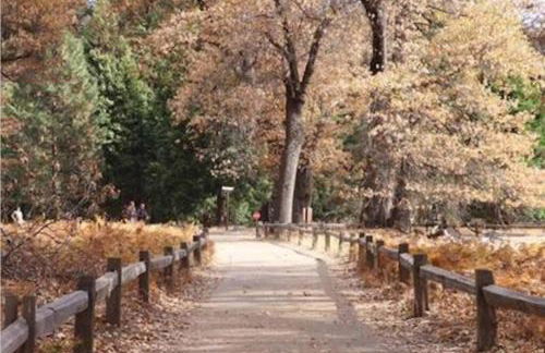 Comfy, Quiet, Condo near Lake Mary and the Village - Foto 33