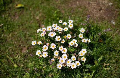 Casa do Bago - Foto 26