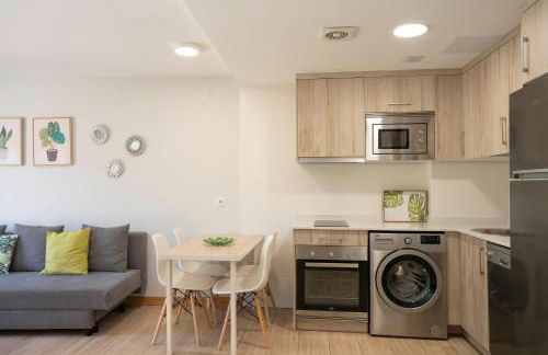 Apartamentos Terraza Ega - Foto 19