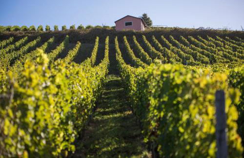 Landhaus Reverchon - Foto 10