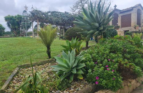 Lugar da Pereira - Foto 32