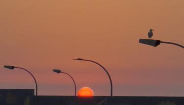 Ó Pé de San Bieito - Foto 2