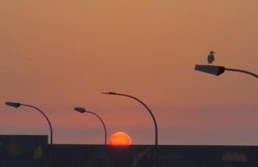 Ó Pé de San Bieito - Foto 2