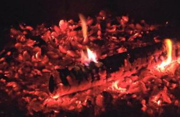 FH "Schmetterling" am See im hessischen Bergland - Photo 11