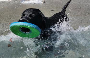 El refugio de Torrijos - Photo 19