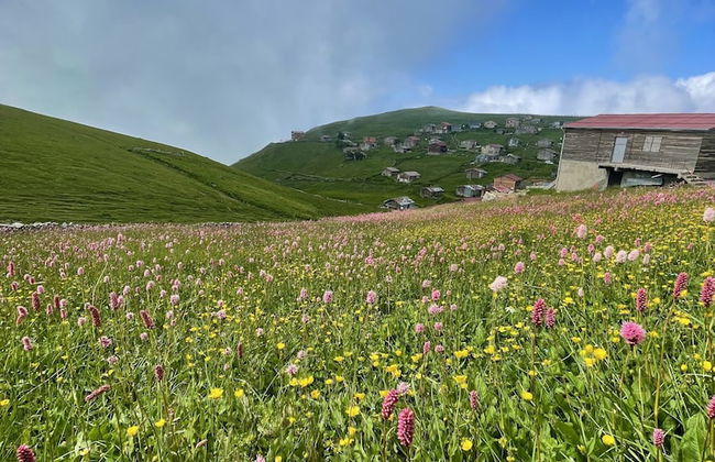 Uzungol Karester Villa Apart - Foto 24
