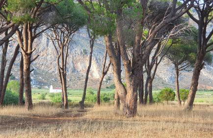 PETROS ROOMS to LET KALOGRIA BEACH - Foto 14