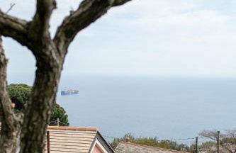 La casa tra gli ulivi - Foto 1