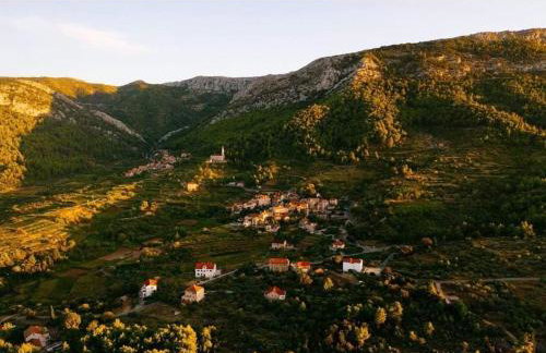 Studio Apartment Mileta - Photo 39