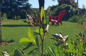 gîte en campagne Lamégritnière - Foto 40