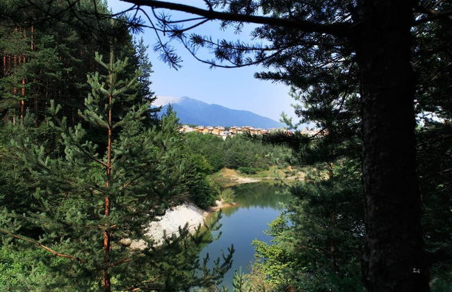 Monfort B - Photo 35