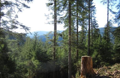 Ferienwohnung Schönmünzblick - Photo 40