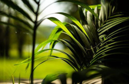 Armathwaite Hall Hotel & Spa - Foto 11