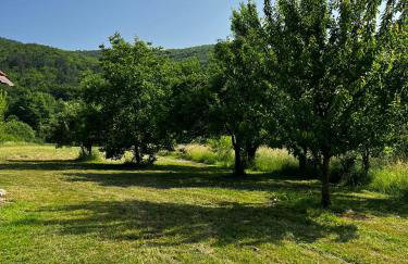 The grandfather's estate - wooden house - Photo 20