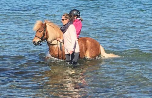 Gartenhaus 3, inkl 1 Parkplatz - Foto 12