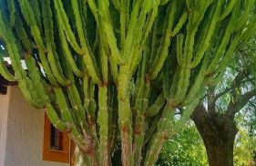 Villa Los Balcones - Foto 68