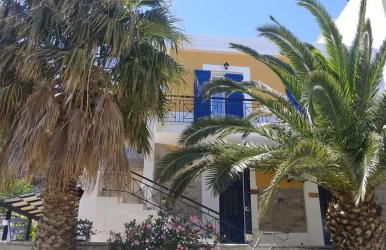 Plumeria Flowery - Foto 49