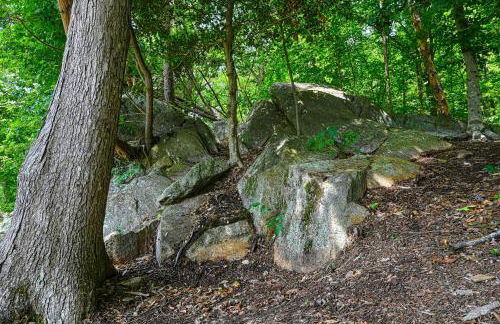 Avoca Cove - Foto 49