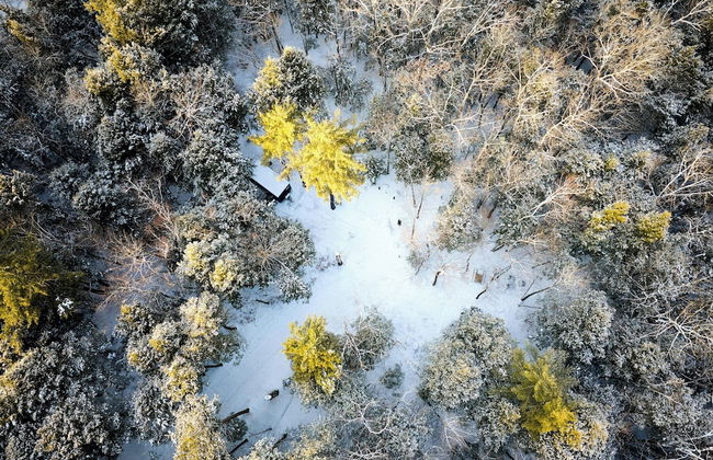 Postcard Cabins Blake Brook, Outdoor Collection by Marriott Bonvoy - Foto 59