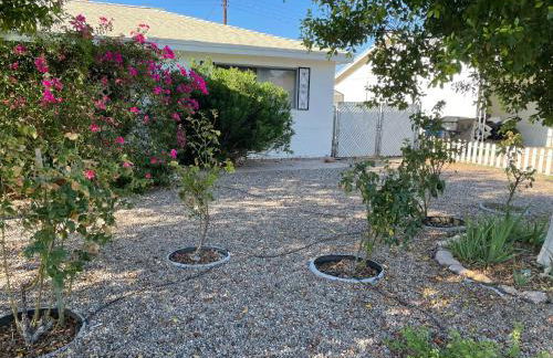 Cozy Home with Sparkling Pool/Pet Friendly - Photo 29