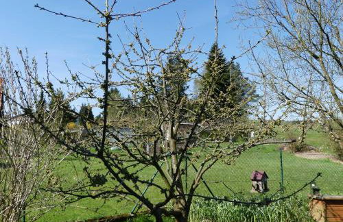 Ferienwohnung Schanbacher - Photo 7