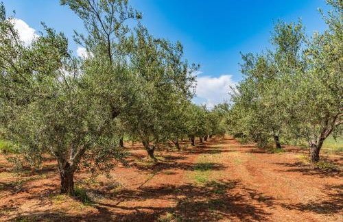 KrinesGReece - Foto 32