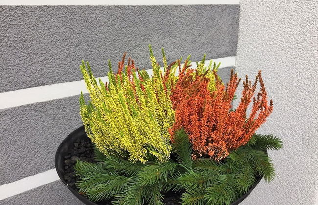 Villa Regensburg - Foto 47