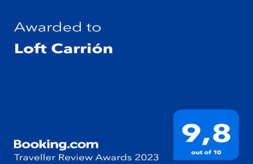 Loft Carrión - Foto 33