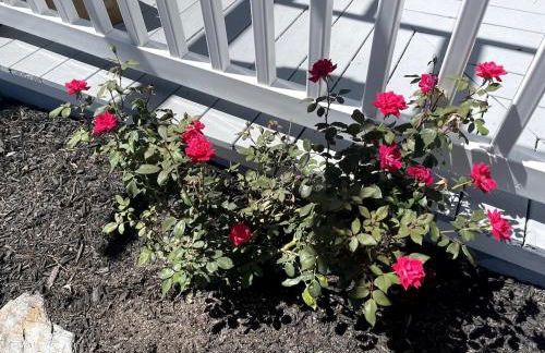 Bright, Airy Home in Hudson! - Foto 29