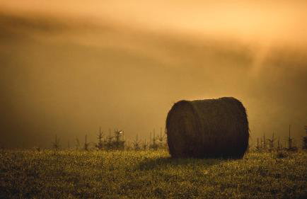 Jerzwałd 14 - Foto 23