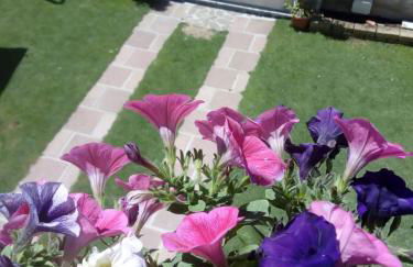 Casa Rosa dei Venti - Foto 5