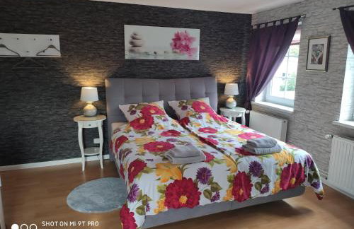 Blumen Apartment - Foto 1