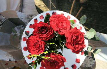 Nébuleuse - Foto 16