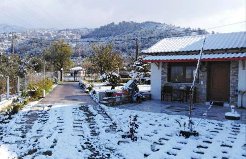Παραδοσιακό σπίτι με τζάκι - Foto 39