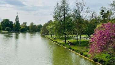 Stylish 2 Bedrooms near Metro 1 King bed & quiet retreat - Foto 4