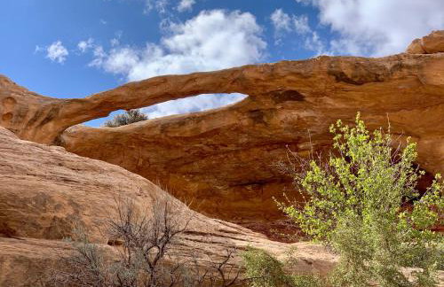 Cedar Canyon Condos - Foto 47