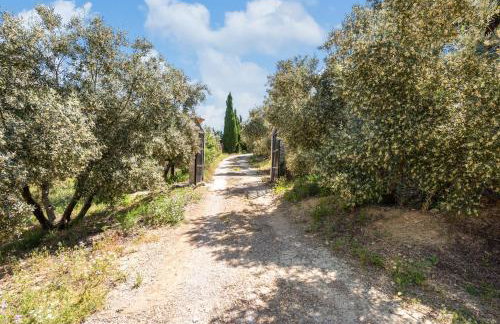 Cortijo Era del Realenguillo - Foto 17