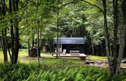 Mountain Brook Cabin - Foto 32