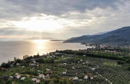 The Olive Home - Photo 35