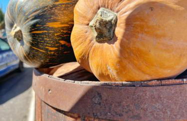 Casa Cabrera - 2 apartamentos con vistas al mar - Foto 7