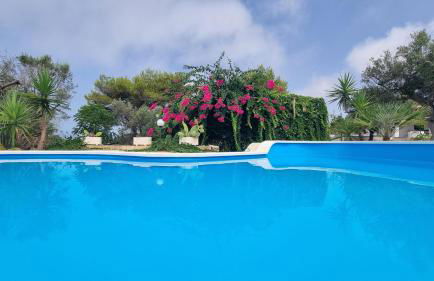 Marcheddu OFF - Foto 24