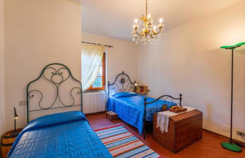 Il Fico e La Civetta - Foto 52