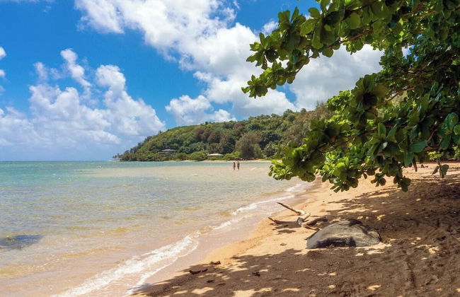 Paniolo 210a - Foto 34