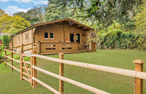 2 Bed in Taunton 96238 - Photo 17