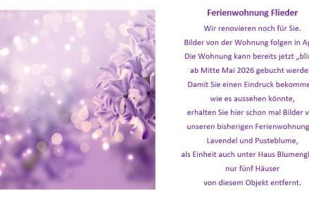 Haus Blumenglück 2 - Foto 26