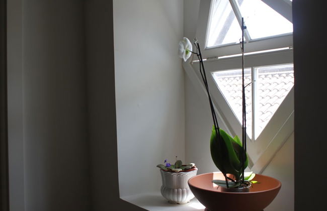 Casa da Cisaltina - Foto 63