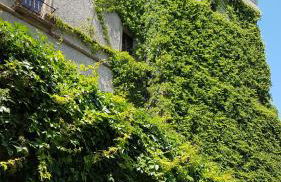 Loft Giuly - Foto 52