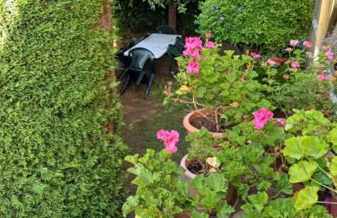 A casa da Piruleta - Foto 24