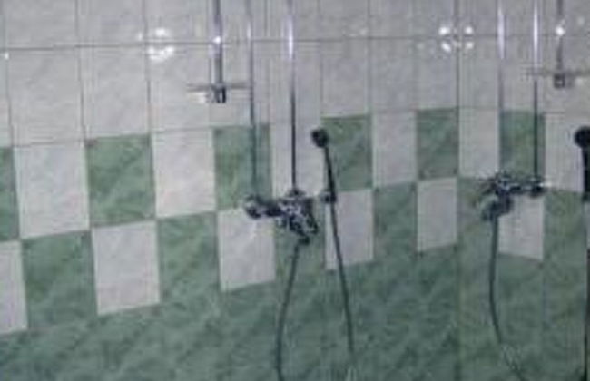 Metsämarja - Foto 20